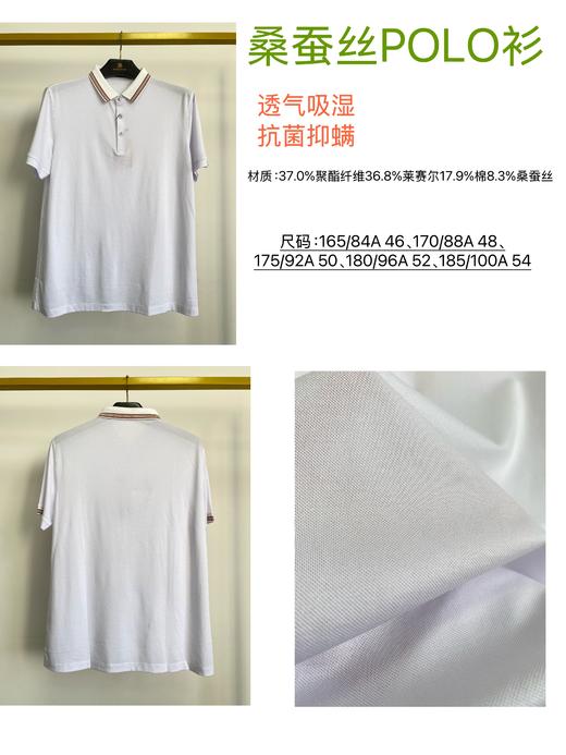 占姆士桑蚕丝短袖t恤男士夏季新款宽松休闲翻领polo衫半袖男  白色 商品图0