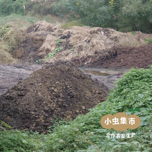 沃野青青露天有机菠菜 3斤 | 合作农友种植，来自陕西咸阳，生产者：郑力行 *【公平贸易农人定价】 商品图10
