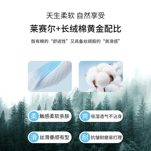 【大师高定】金典条纹莱赛尔棉POLO衫255X0P929S[门店专款] 商品图4