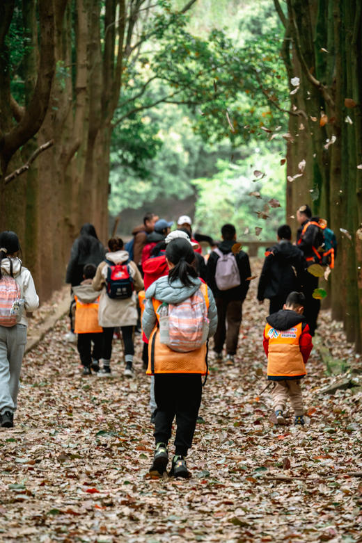 4.1硬核遛娃【勇闯龙椅山绳降】3公里轻徒步·探秘暮光森林，户外绳结应用·挑战牵绳爬坡，10米崖璧绳降·见证勇气时刻。 商品图3
