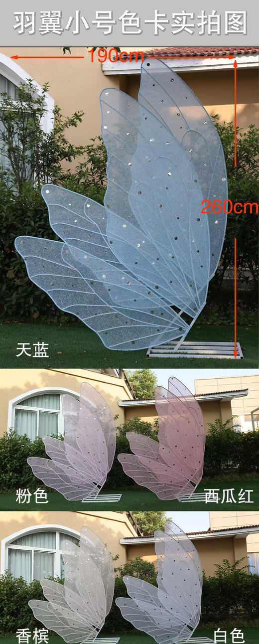 羽翼（运费自理） 商品图4