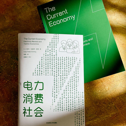 电力消费社会 薄荷实验 电力市场 插座背后的经济学 商品图4