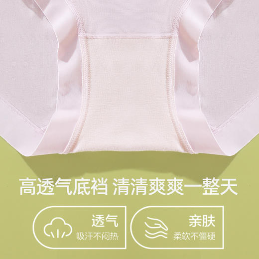 【3条装】熳洁儿 莫代尔女士内裤柔滑亲肤中腰包臀25262135 商品图4
