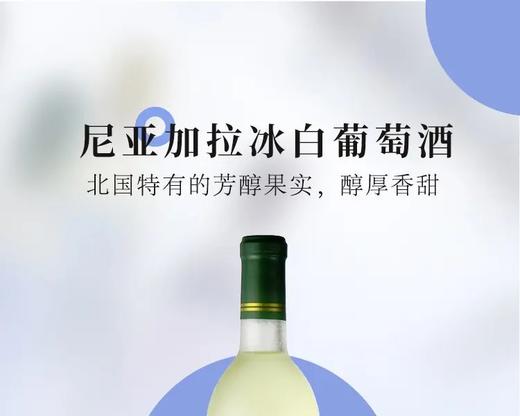 日本函馆尼亚加拉白葡萄酒_ymt 商品图1