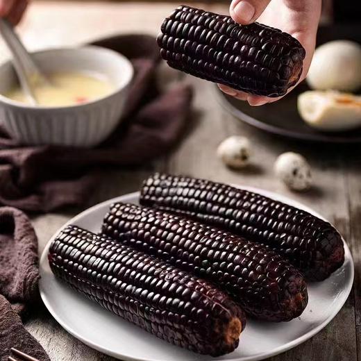 【秒杀】每食安黑糯玉米礼盒2.2kg（10穗） 商品图2