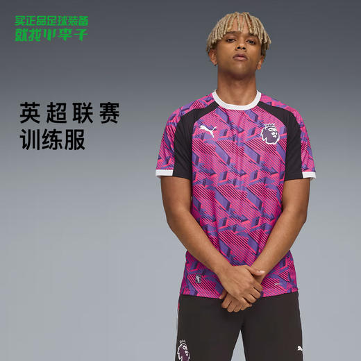 小李子正品PUMA彪马英超运动训练短袖TT恤训练服成人男660369 01 商品图0