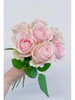 国产单头玫瑰粉红雪山玫瑰10支 商品缩略图5