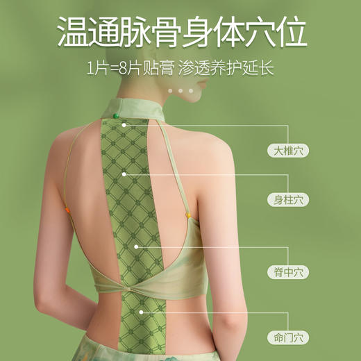 百年扁氏龙凤脉骨膏贴 商品图2