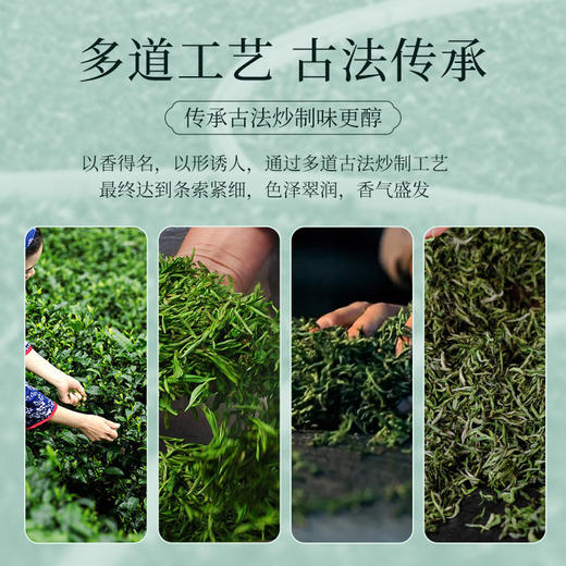 恩施硒茶正宗浓香型玉露春茶雨前正品高山云雾绿茶50g自饮装 CM 商品图5
