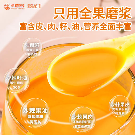 【全国包邮】新疆沙棘原浆（500ml*1袋） 商品图1