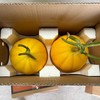 金香玉牛奶蜜瓜、香甜软糯，皮薄肉厚，果面漂亮、吊蔓香瓜、糖度20°太甜太好吃了 商品缩略图4