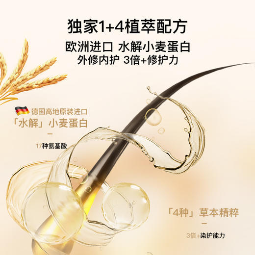 圣诗婷植物染发剂 植萃配方 简单几步 轻松染发 显色更年轻 商品图1