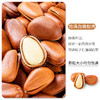 【野森林】罐装 甄选开口松子 500g 商品缩略图2