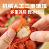 【到手五盒】山海造小龙虾 麻辣/蒜蓉 加热即食 肉质紧实饱满 麻辣鲜香 商品缩略图4