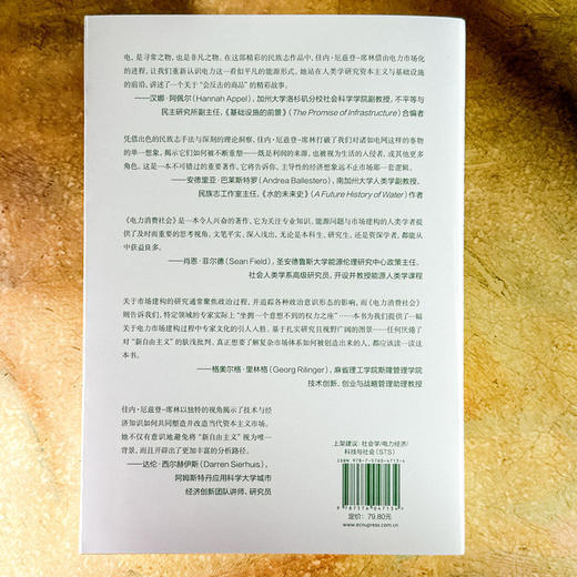 电力消费社会 薄荷实验 电力市场 插座背后的经济学 商品图2