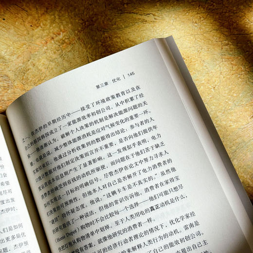 电力消费社会 薄荷实验 电力市场 插座背后的经济学 商品图11