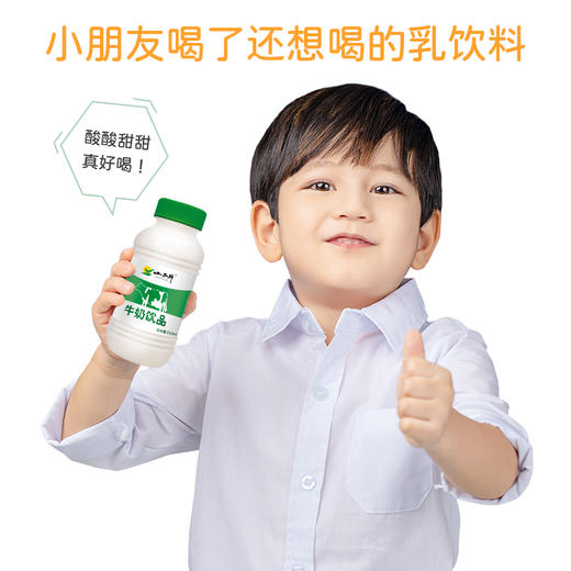 【光明&小西牛】小西牛 青海高原牛奶饮品243mlx12瓶/箱 商品图1
