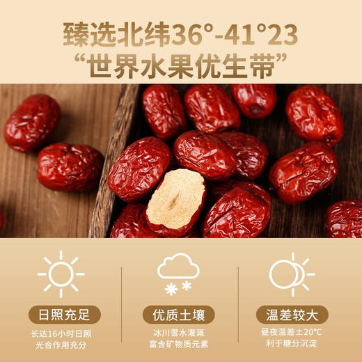 【野森林】新疆灰枣 400g 商品图4