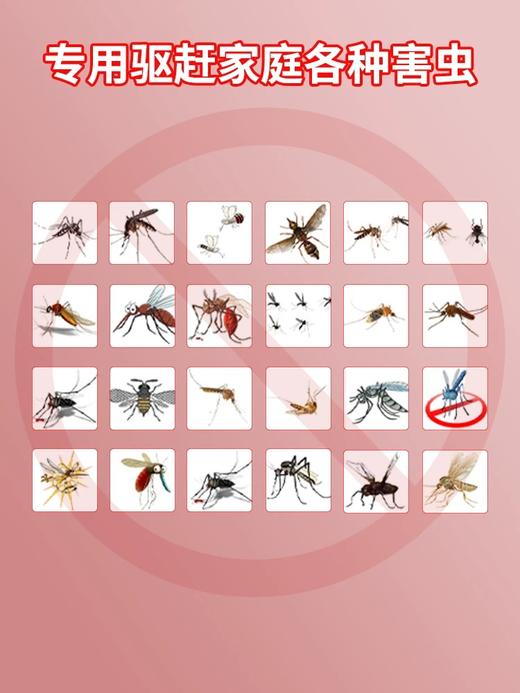 除虫盒热卖中！！【示博士  百虫驱离精粹盒】120G一盒，害虫克星，驱百虫神器！ 商品图4