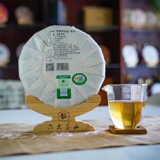 班章有机饼茶-大白菜(2024)/生茶 商品图3