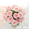国产单头玫瑰粉红雪山玫瑰10支 商品缩略图3