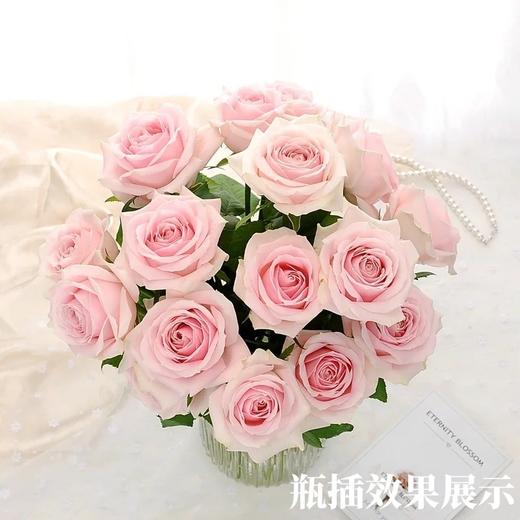 国产单头玫瑰粉红雪山玫瑰10支 商品图3