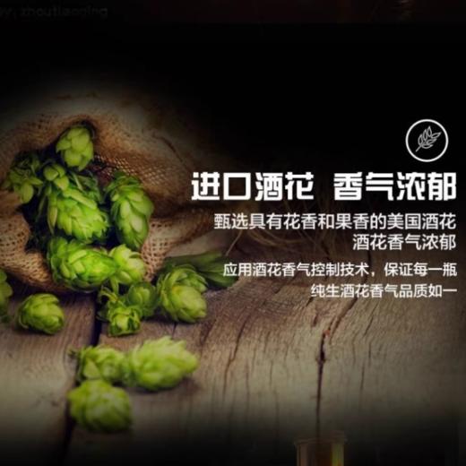 珠江啤酒 9°P 1997珠江纯生啤酒 500ml/听 商品图3