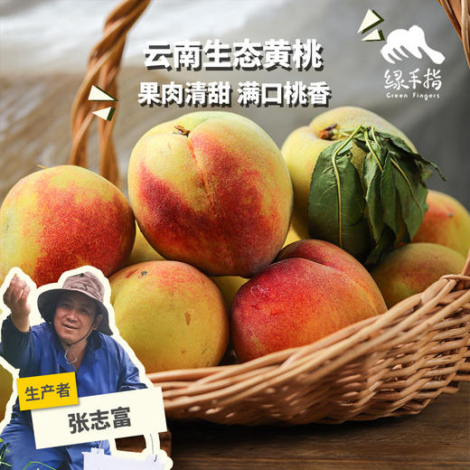 生态黄桃（邮政空运） | 合作生产*  Ecological peach | Partner Production 商品图0