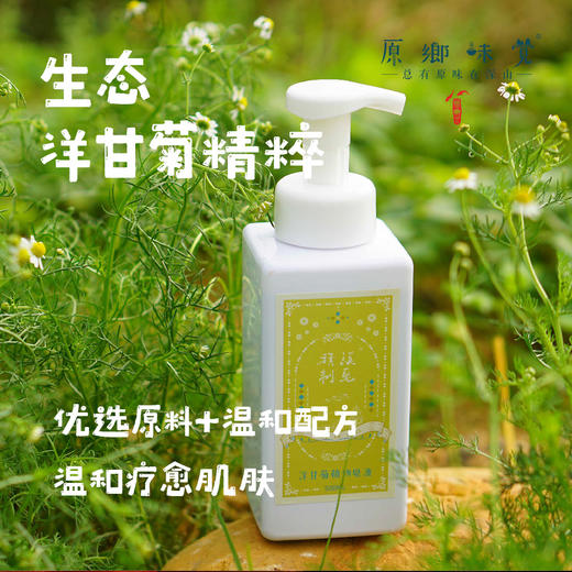 洋甘菊植物皂液/沐浴露（成都仓库-顺丰发货）|500ml/瓶，来自广东中山，生产者：旗溪【合作生产，公平贸易 】 商品图0