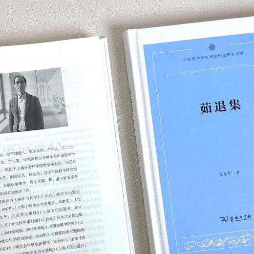 茹退集(中西哲学比较与文明史研究丛书) 商品图2