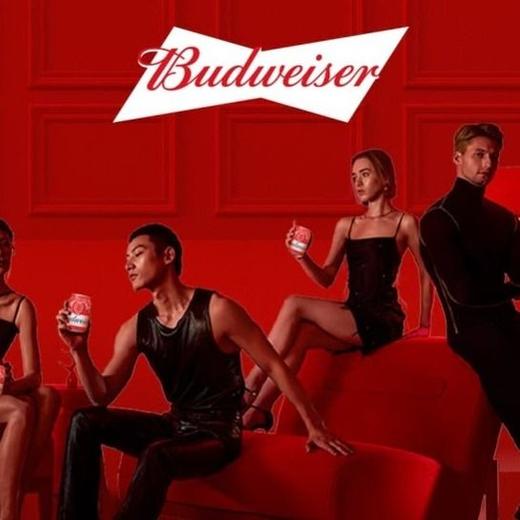 【悦惠精选】百威啤酒255ml*24 商品图2