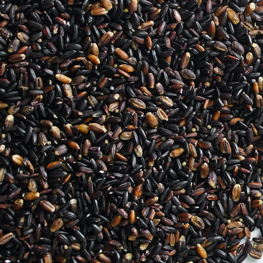 溢田有机五黑珍谷米2.5kg 商品图3