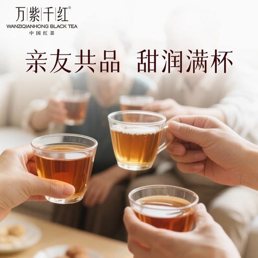 万紫千红红茶一级茶叶袋装100g自饮口粮茶叶四川竹叶青茶业出品 商品图2