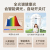 孩视宝桌面台式大路灯I01-50W 全光谱长桌照明智能感光台灯 商品缩略图2