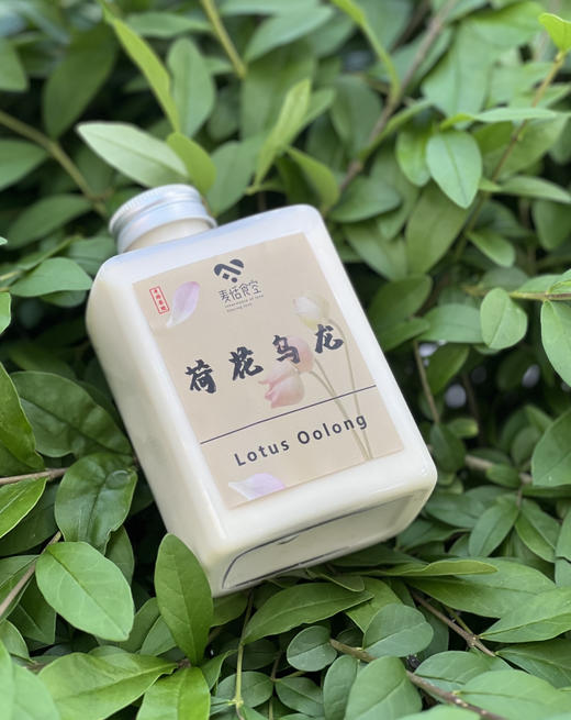 手工茶饮450ml 商品图0