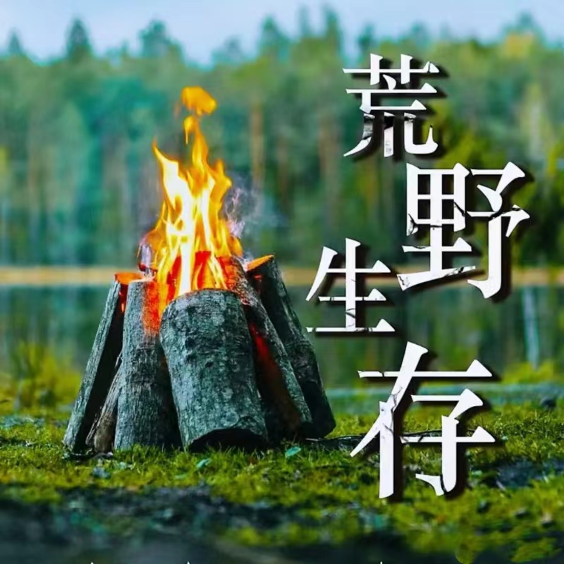 户外探索系列|【6月8日】|成长营之【荒野召唤】——野外生存挑战一日营， 你的孩子比想象中更强大！