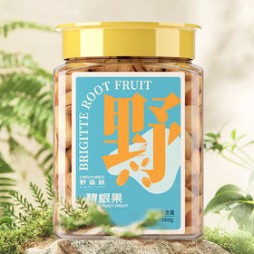 【野森林】罐装 甄选碧根果 380g