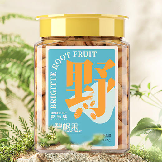 【野森林】罐装 甄选碧根果 380g 商品图0