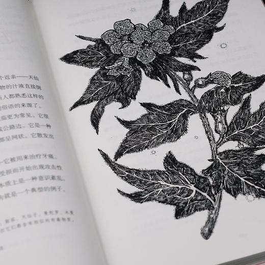 毒物图鉴：我们身边的危险 商品图4