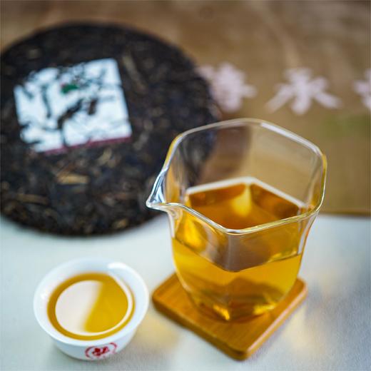 班章橡筋有机茶 普洱生茶（2024） 商品图6