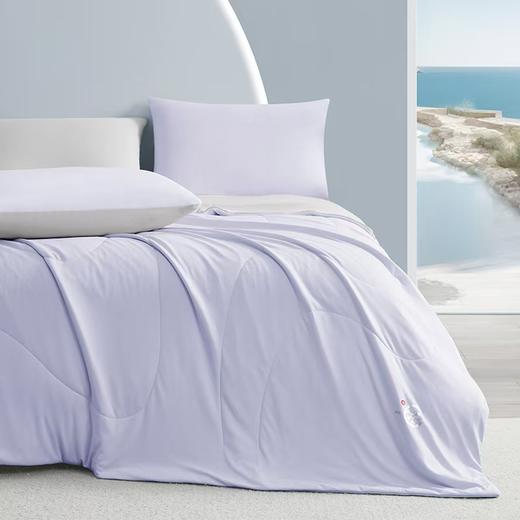 梦洁  冰肌凉感大豆夏被：小冰豆（紫灰 商品图2