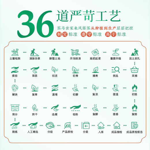 恩施藤茶正宗来凤调养茶优选特级56g罐装 CM 商品图3
