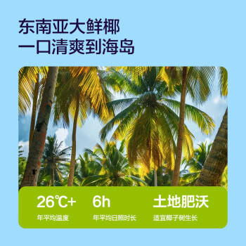 京东京造鲜来多100%NFC真椰子水320ml*6椰汁果汁饮料天然电解质泰国0脂0蔗 商品图6