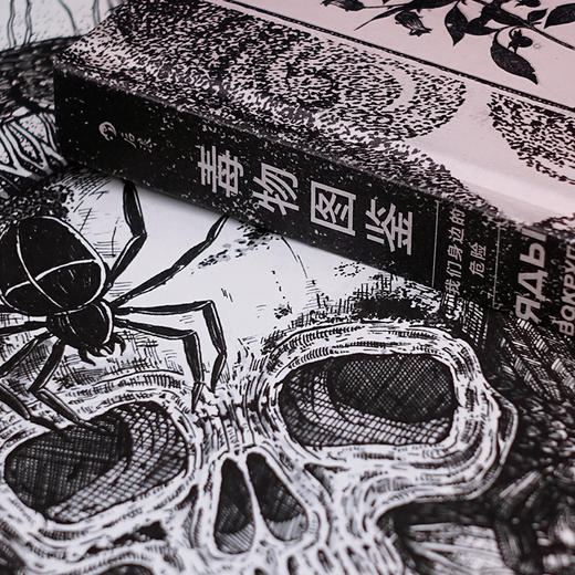 毒物图鉴：我们身边的危险 商品图2