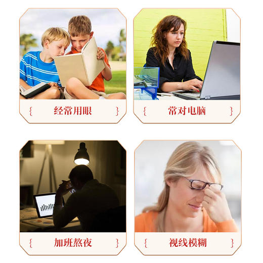 【野森林】纸筒 甄选决明子茶260g 商品图4