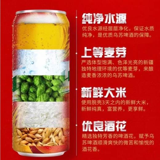 乌苏啤酒500ml/罐 商品图2