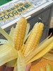 云南原种带皮拇指玉米 商品缩略图1