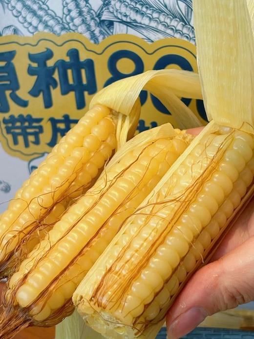 云南原种带皮拇指玉米 商品图4