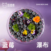 蓝莓瀑布 商品缩略图2