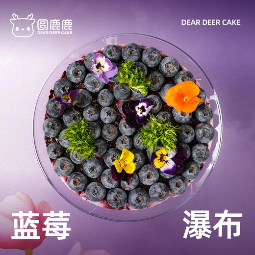 蓝莓瀑布 商品图2